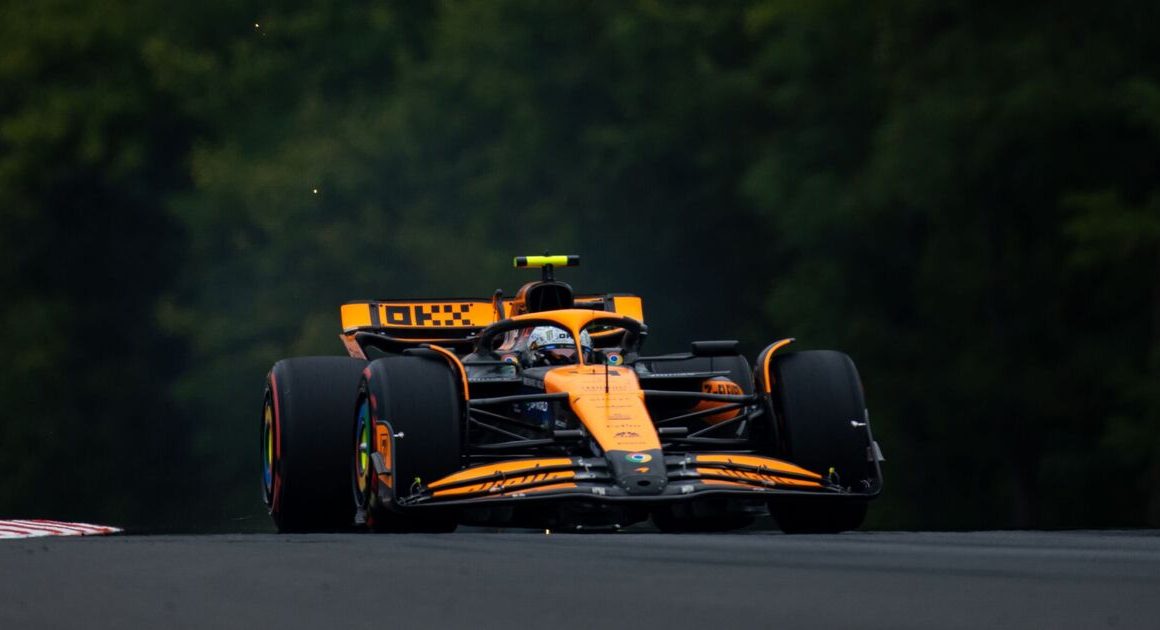 Hungarian Grand Prix qualifying results as Lando Norris heaps misery on Max Verstappen | F1 | Sport