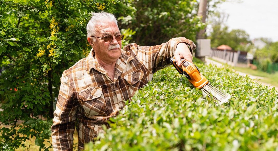 Britons warned to stop cutting garden hedges ‘right now’ or face hefty fine