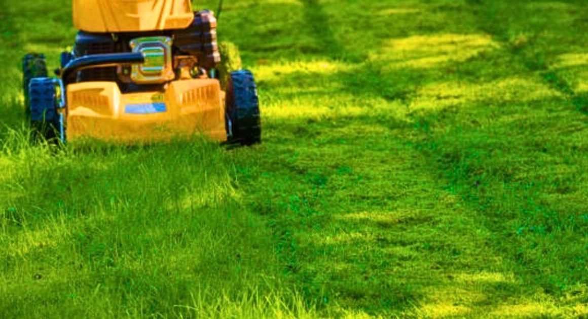 ‘Biggest mistake’ to avoid when mowing lawns this summer to keep grass ‘thick and healthy’