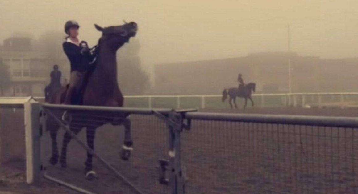 New video shows Charlotte Dujardin calling horse a ‘b***h’ in fresh incident | Other | Sport