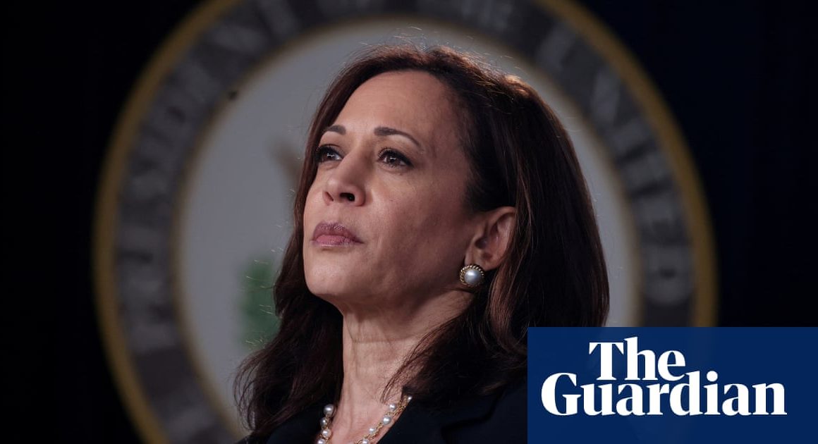 Kamala Harris after Biden drops out: ‘My intention is to earn and win this nomination’ | US news