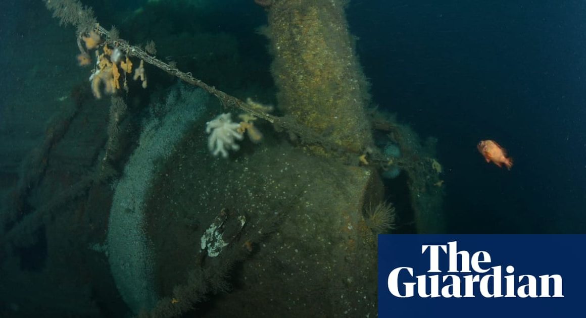 ‘Virtually intact’ wreck off Scotland believed to be Royal Navy warship torpedoed in WWI | Scotland