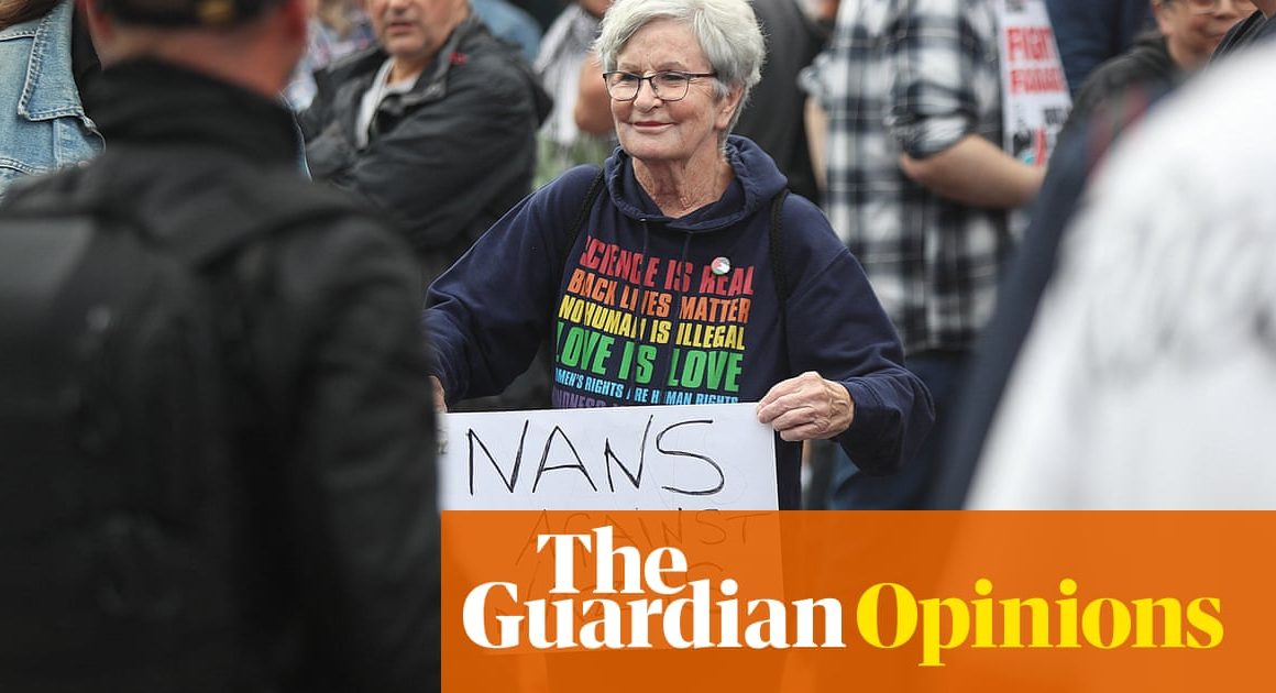 Dismiss ‘grannies’ as frail old biddies at your peril: they’re some of the toughest activists out there | Sally Feldman