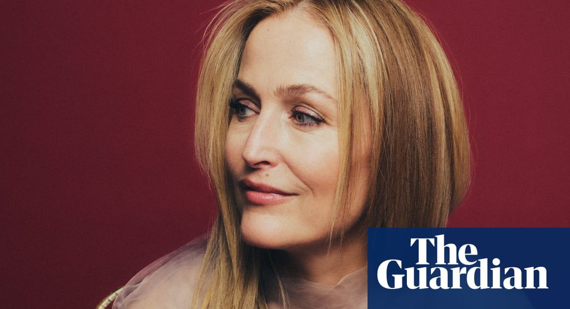 Want by Gillian Anderson review – let me be your fantasy | Health, mind and body books