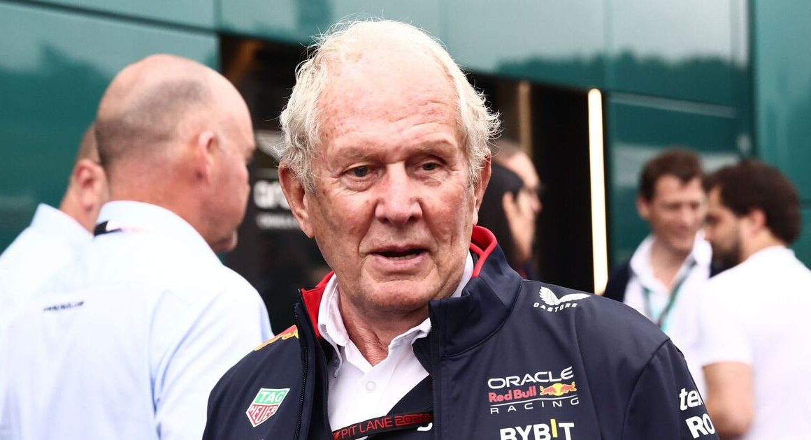 Helmut Marko drops big hint over Red Bull move for Lando Norris with brutal comparison | F1 | Sport