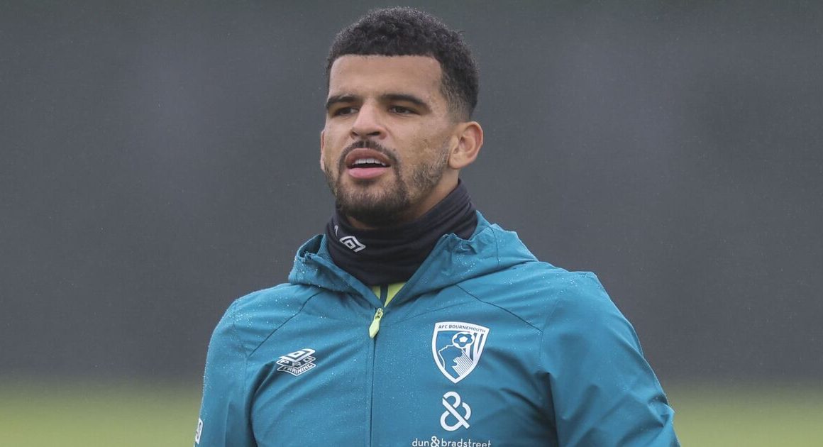 Tottenham finalise club-record Dominic Solanke deal as contract details emerge | Football | Sport