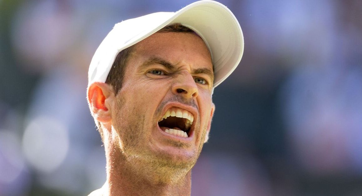 Andy Murray calls tennis rival a ‘spanner’ in latest social media exchange | Tennis | Sport