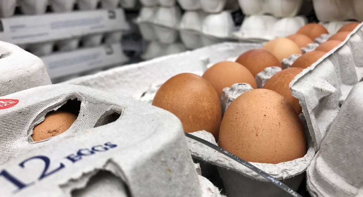 Warning to shoppers buying eggs at Tesco, Aldi, Asda, Morrisons or Sai