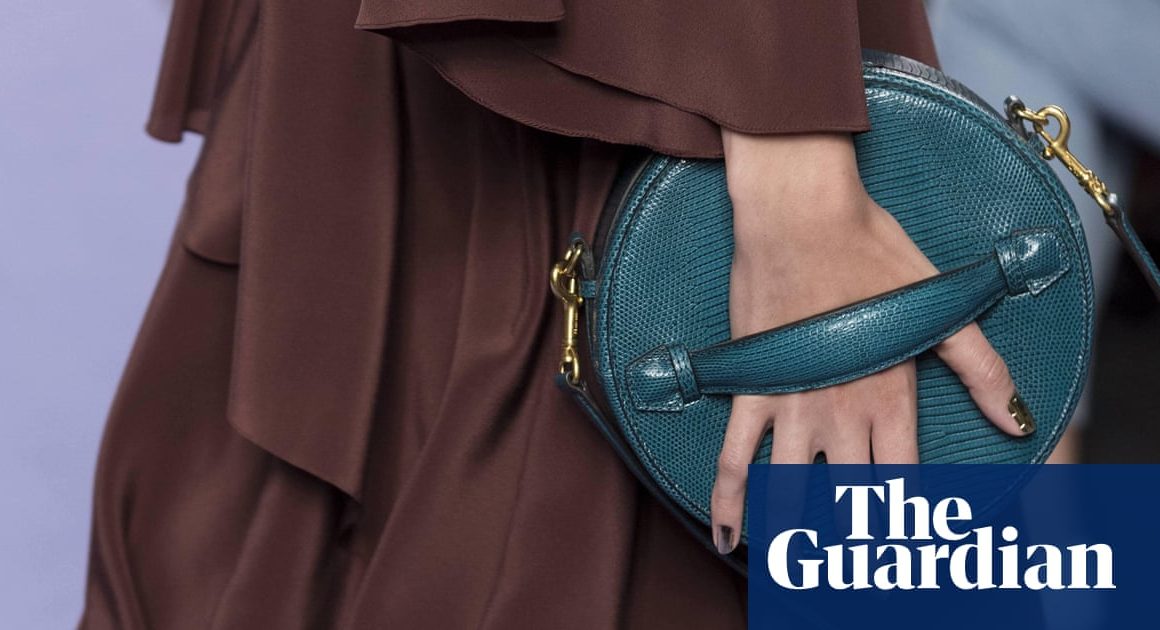 Mike Ashley’s Frasers Group makes £83m offer for handbag maker Mulberry | Mergers and acquisitions