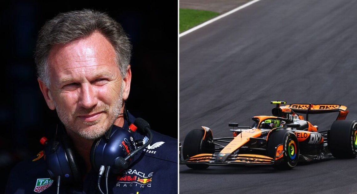 Red Bull complain to FIA about ‘unfair McLaren advantage’ as title bid hangs in balance | F1 | Sport