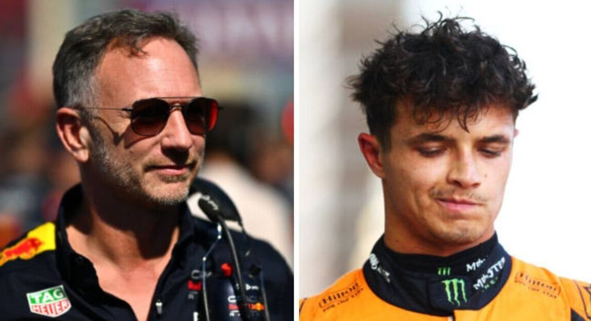 Christian Horner stirs the pot at McLaren with comment about Norris and Piastri’s salaries | F1 | Sport