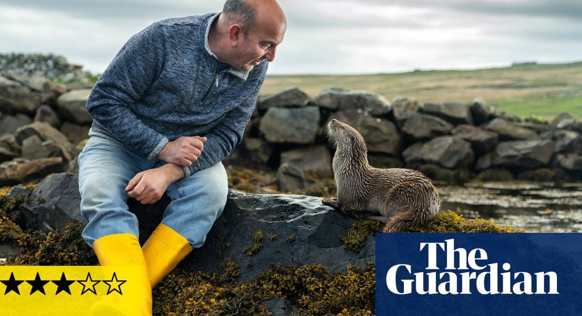 Billy & Molly: An Otter Love Story review – a pleasure of a film about an unlikely bond | Film