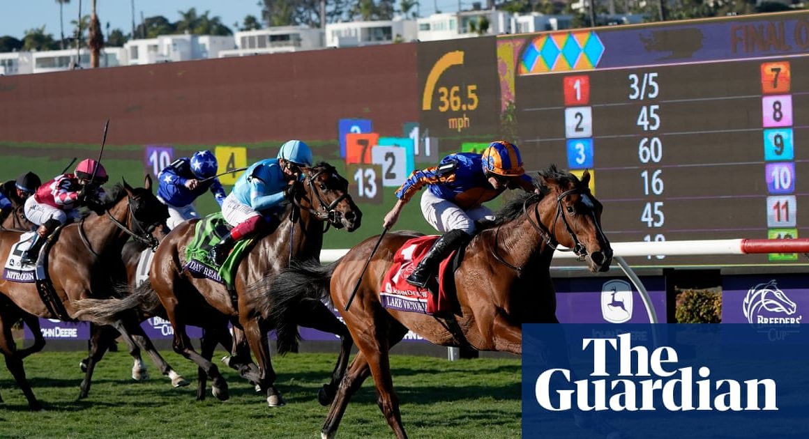 Lake Victoria stays unbeaten with Juvenile Fillies’ Turf win at Breeders’ Cup | Breeders’ Cup