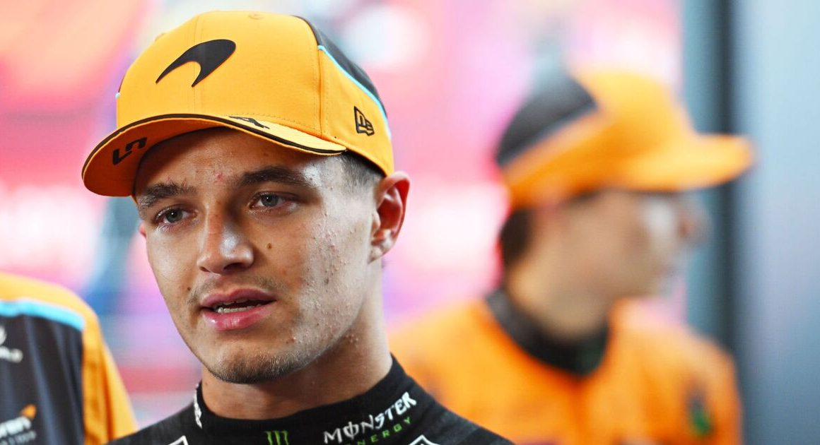 Lando Norris learns FIA investigation verdict after horror Brazil GP | F1 | Sport