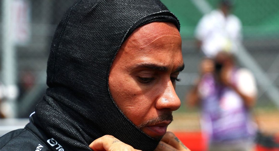 Lewis Hamilton learns fate as FIA make decision on changing Brazilian GP race result | F1 | Sport