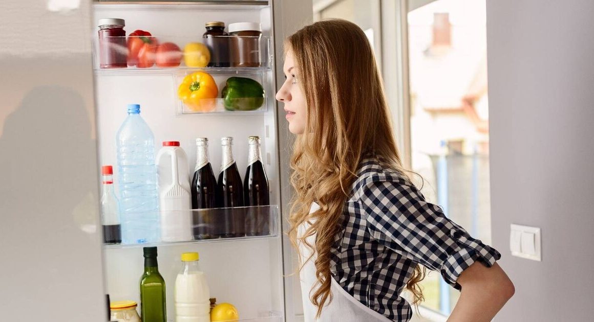 Exact fridge and freezer temperature you should have to save money