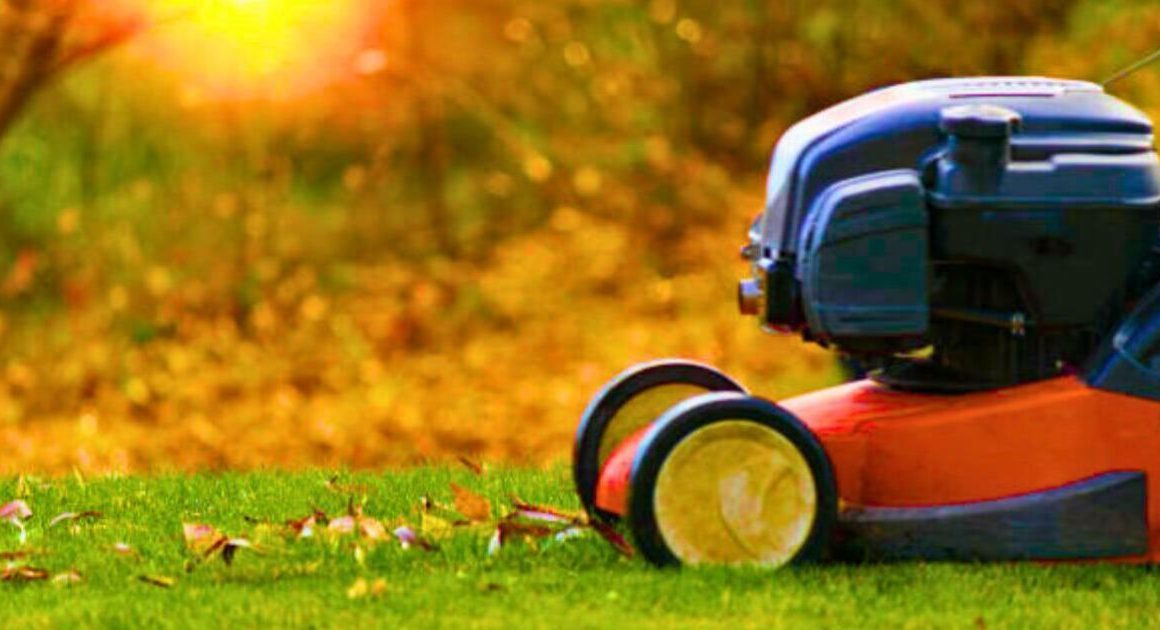 ‘Most common mistake’ to never make when mowing your lawn before winter