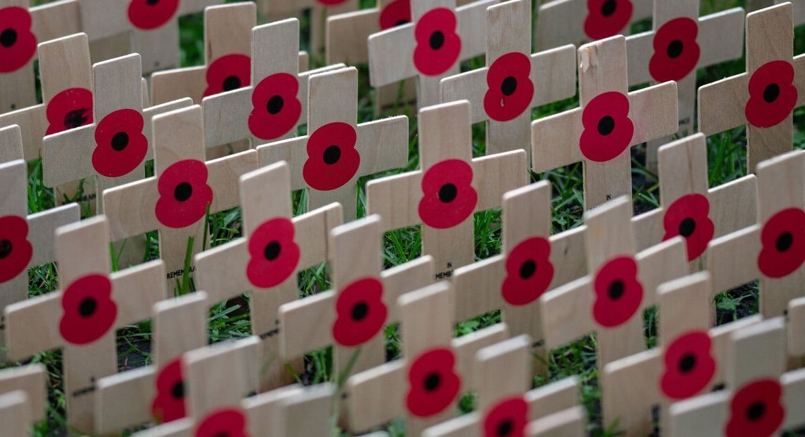 Mum claims child was punished for wearing Remembrance Poppy | UK | News