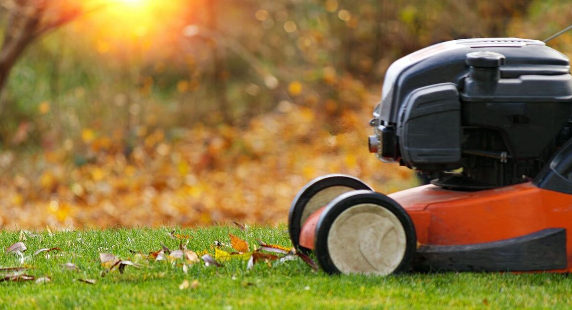 Lawns will ‘thrive throughout winter’ if 5 simple steps are followed now