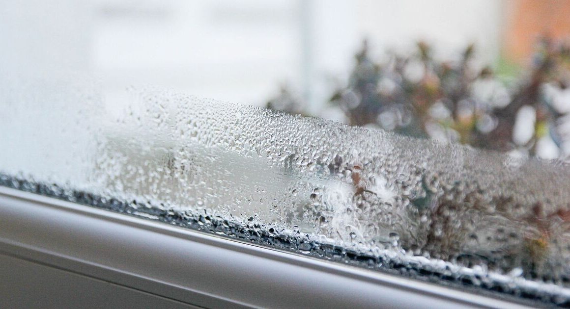 Banish condensation with quick step that removes moisture