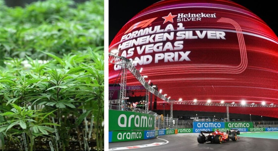 F1 stars complain of Las Vegas GP marijuana smell in drug test fears | F1 | Sport