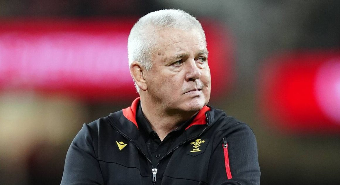 Warren Gatland to hold WRU talks over Wales future after South Africa defeat | Rugby | Sport