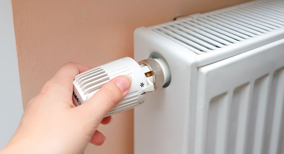 Make radiators hotter and ‘heat up faster’ with plumber’s easy heating hack