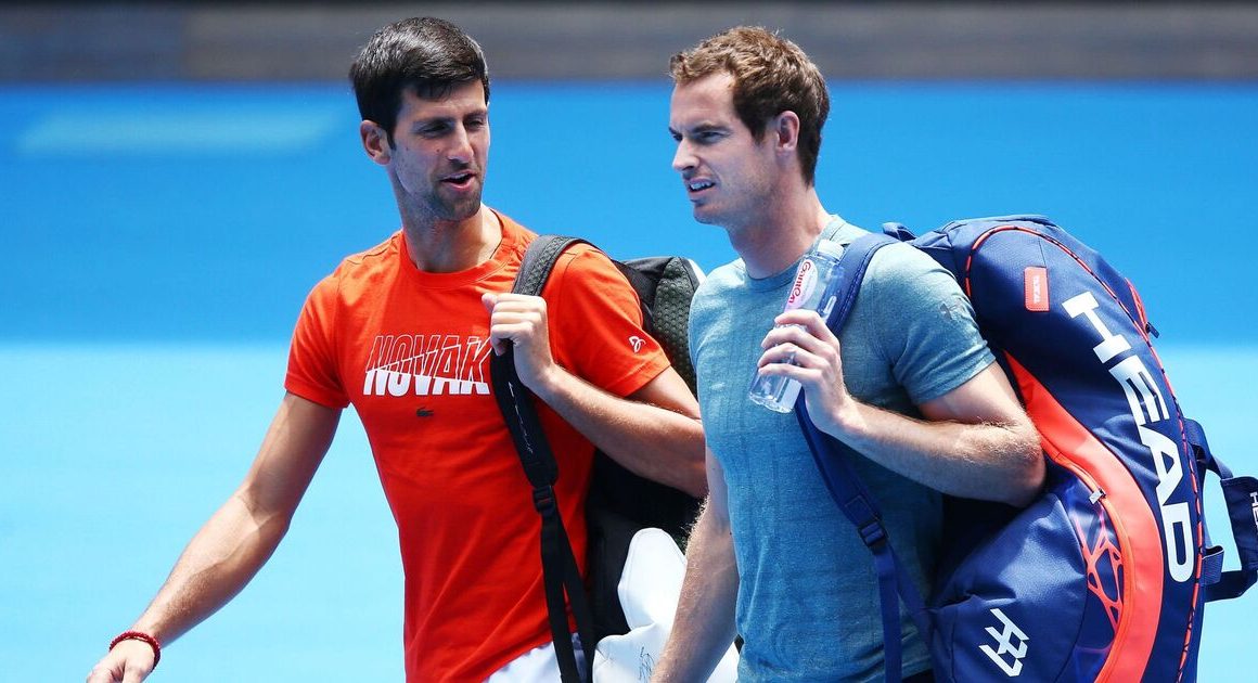 Novak Djokovic could target Andy Murray as fears raised over ‘violent’ outbursts | Tennis | Sport