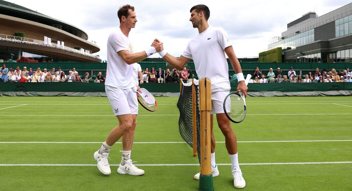 Andy Murray told ‘everything won’t revolve around you’ after joining Novak Djokovic camp | Tennis | Sport