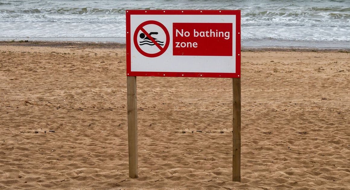 England’s beaches so polluted they’re branded a ‘national embarrassment’ | Politics | News