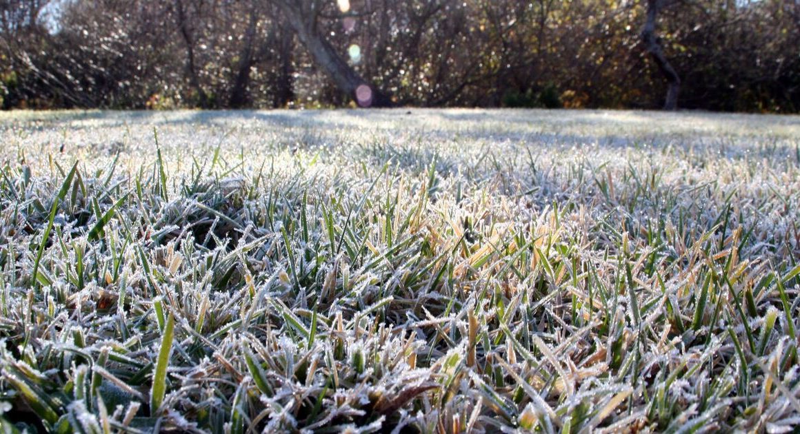 Keep lawns healthy ‘well into spring’ by avoiding one key habit in cold weather