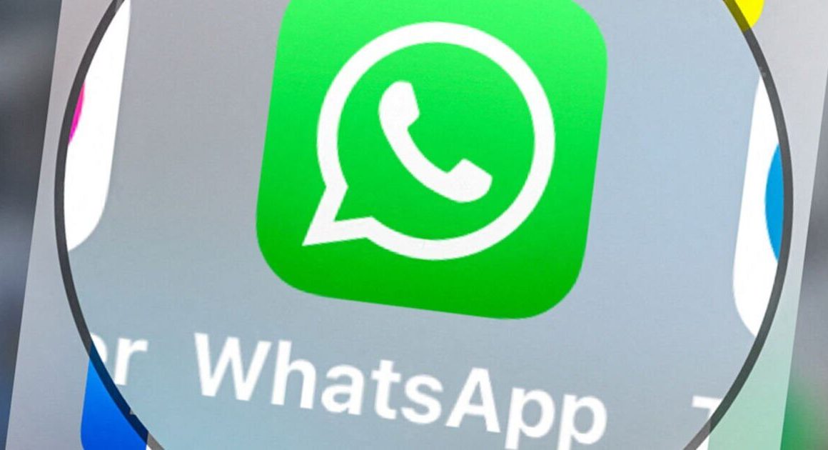 WhatsApp axes popular chat feature – has your phone been hit by ‘annoying’ change?