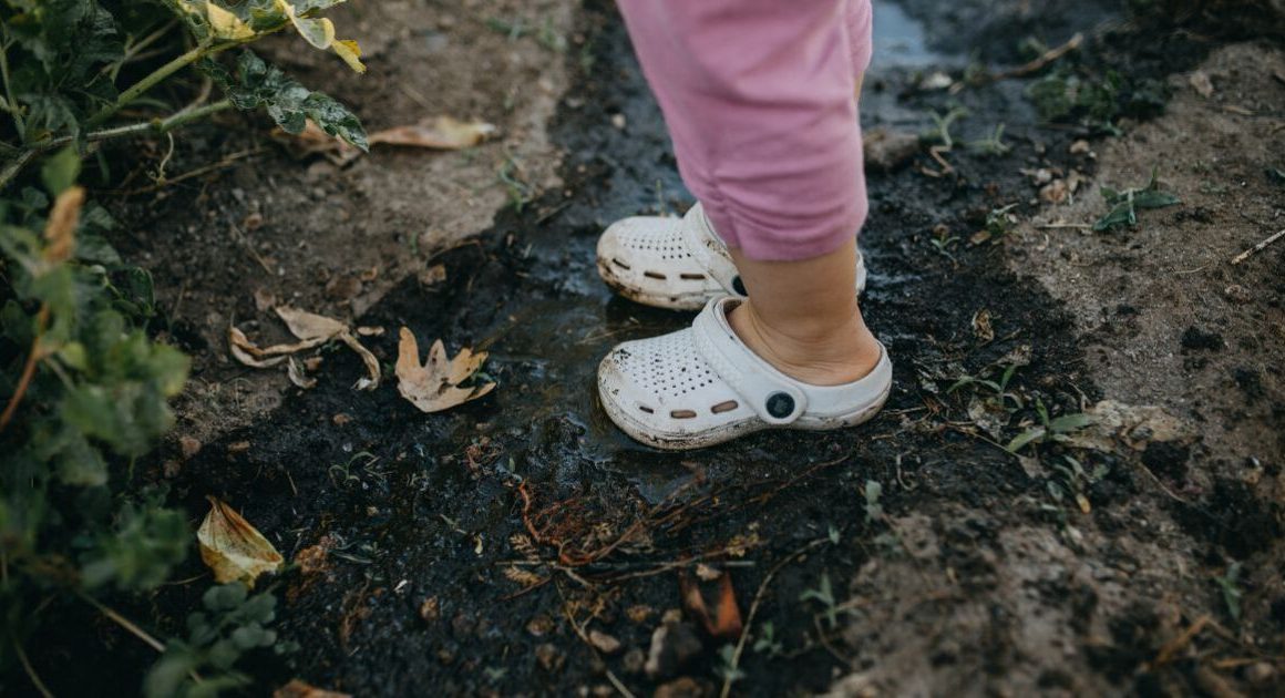 Bestselling crocs ‘ideal for gardening’ for just £6.71 today