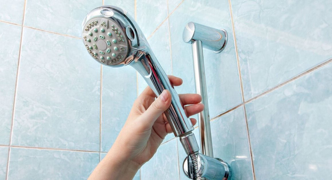 Remove limescale from the shower head with magical 35p ingredient