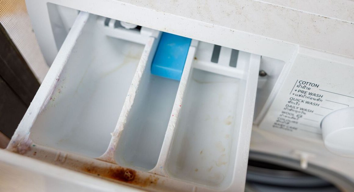 Banish mould and odours from washing machines with cleaning pro’s ‘most efficient’ hack