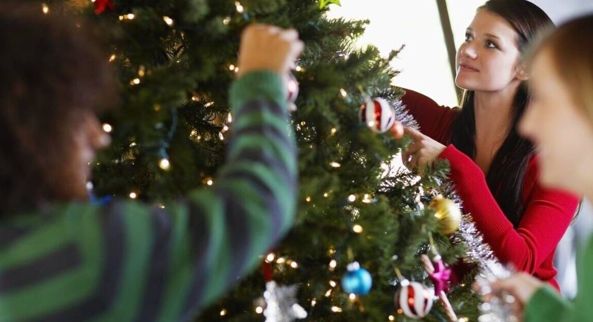 Clever trick to make Christmas tree look fuller without buying new one