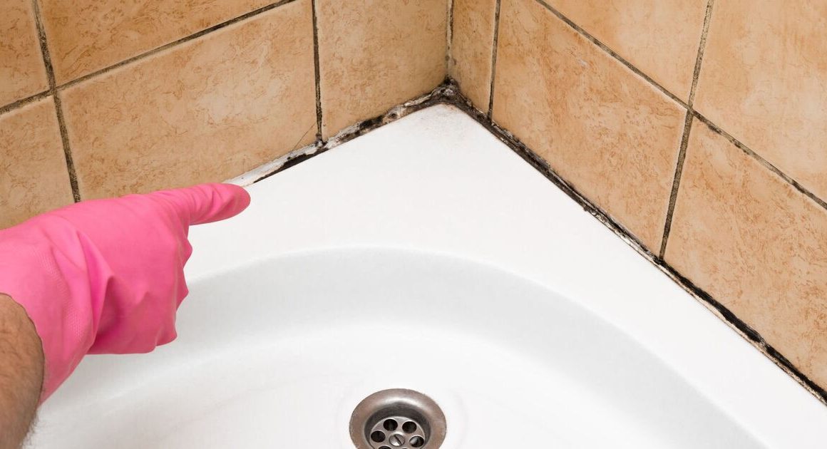 How to remove mould from grout fast without scrubbing