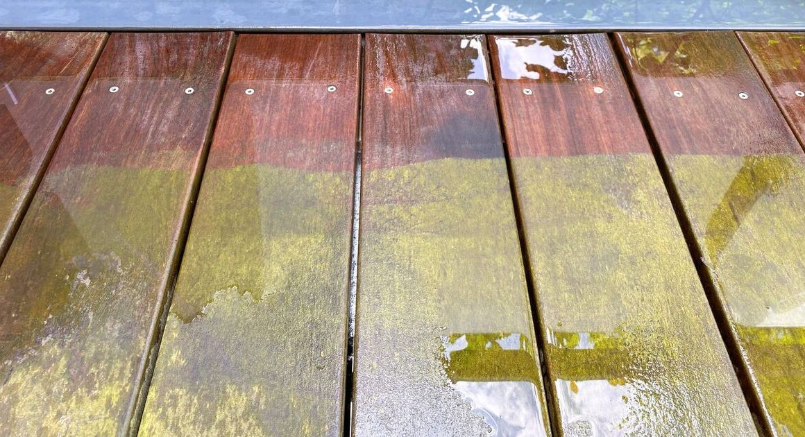 Patio and decking will be free of mould and algae if expert’s task is done now