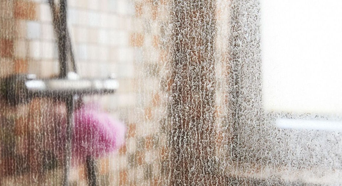 Banish stubborn shower screen limescale with 24p ingredient better than lemon juice