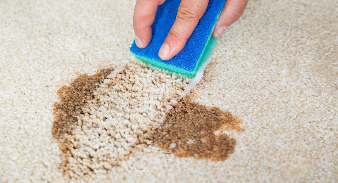 How to remove stains from carpets fast without vinegar, bleach or carpet cleaners