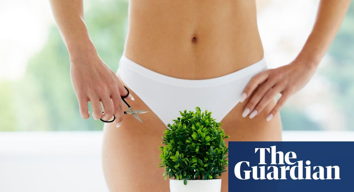 ‘Full bush in a bikini’: the sudden rise of pubic hair positivity | Beauty