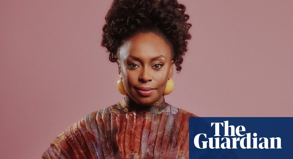 ‘Cancel culture? We should stop it. End of story’: Chimamanda Ngozi Adichie on backlash, writer’s block – and her new baby twins | Chimamanda Ngozi Adichie