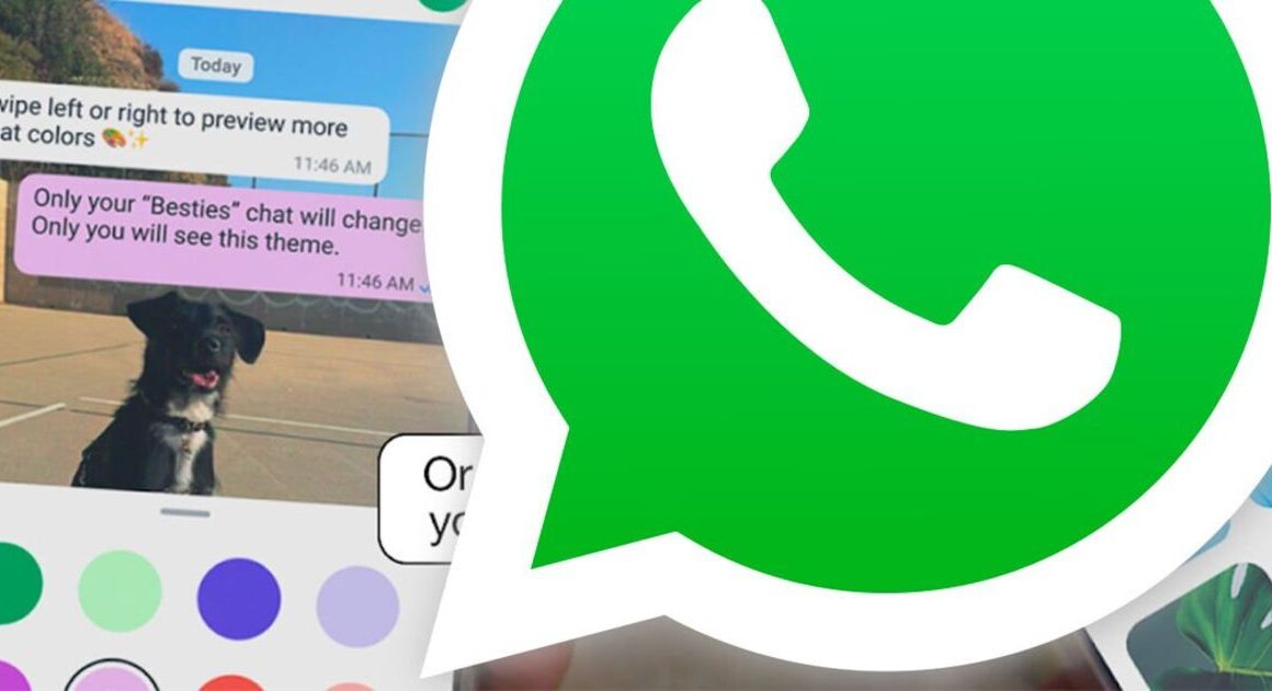 WhatsApp says ‘you asked for it’ as major changes confirmed – check your phone now