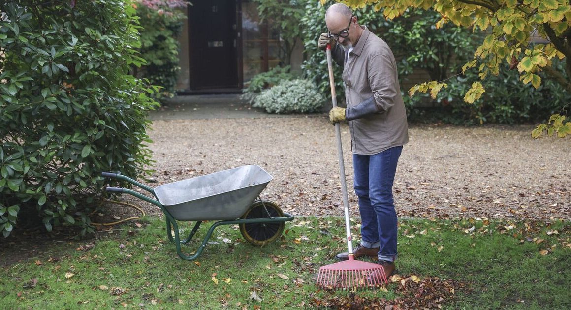 UK’s ‘worst’ city for gardening named – ‘too much rain and not enough garden centres’