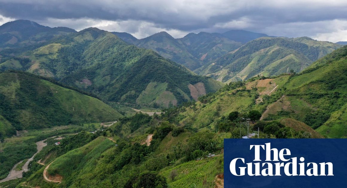 Colombia urges UN to remove coca leaf from harmful substances list | Colombia