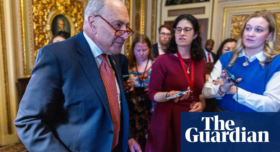 Chuck Schumer to vote for Republican funding bill to avert shutdown | Democrats