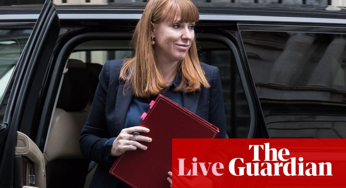 Minister rejects claim that planning reforms designed to penalise farmers – UK politics live | Politics