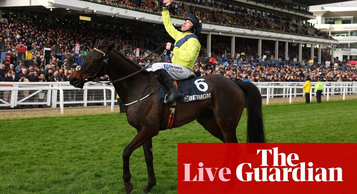 Cheltenham festival 2025: Marine Nationale lands poignant win on day two – live | Cheltenham festival 2025