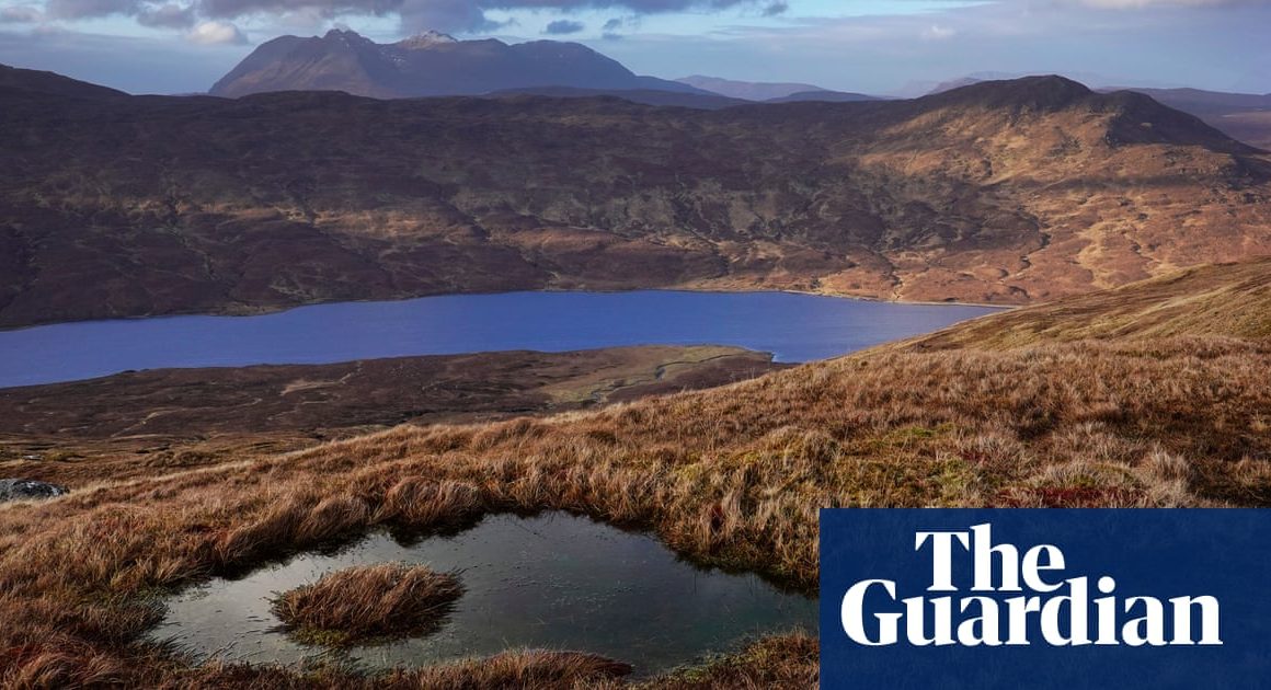 Mystery donor’s £17.5m gift could turn Scottish estate into rewilding showcase | Scotland