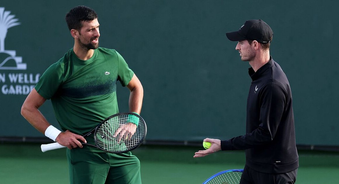 Novak Djokovic offers AndyMurray Wimbledon update as pair continue partnership | Tennis | Sport